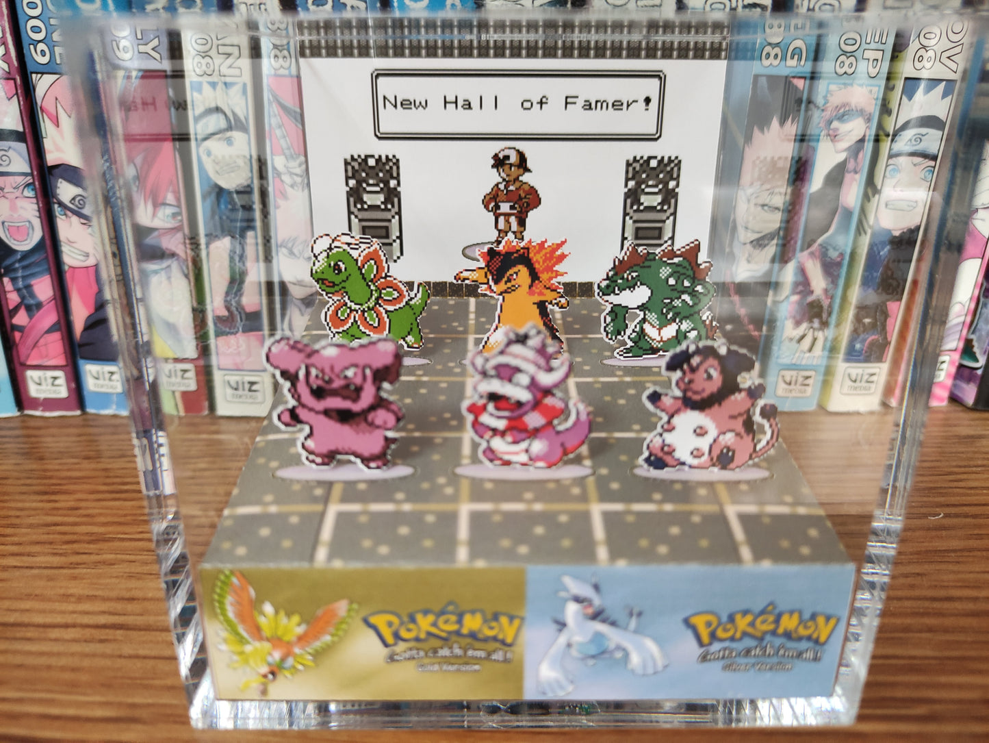 Pokemon Champion Hall of Fame! (Customizable)